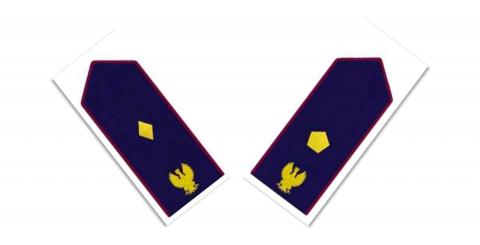 CONCORSI INTERNI V. SOV. e V. ISP.