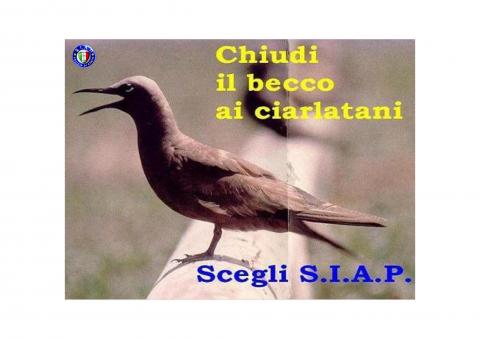 SCORRIMENTO GRADUATORIA: LA BATTAGLIA DEL SIAP