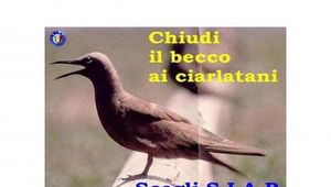 SCORRIMENTO GRADUATORIA: LA BATTAGLIA DEL SIAP