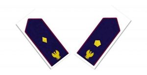 CONCORSI INTERNI V. SOV. e V. ISP.